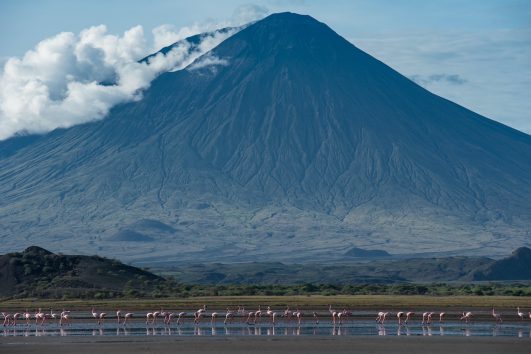 10-day Tanzania safari off the beaten track