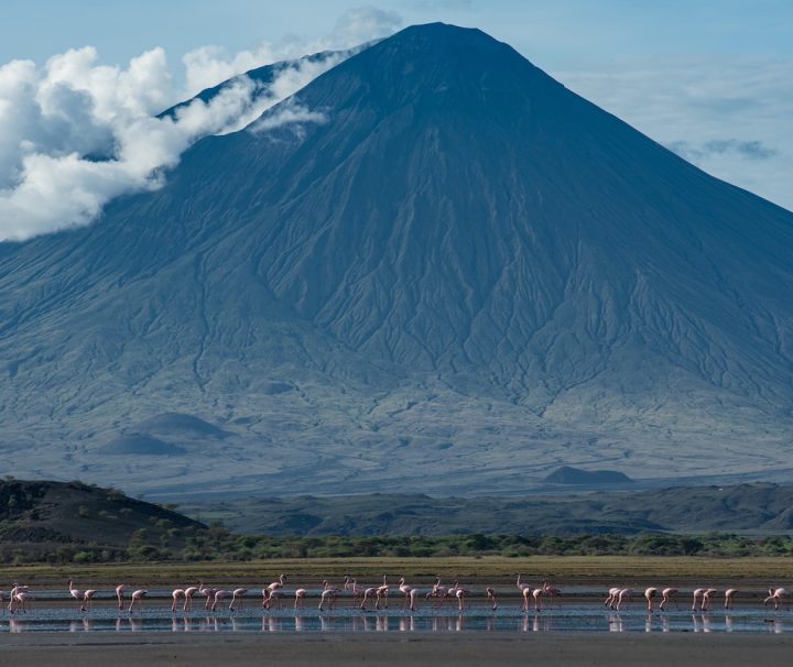 10-day Tanzania safari off the beaten track