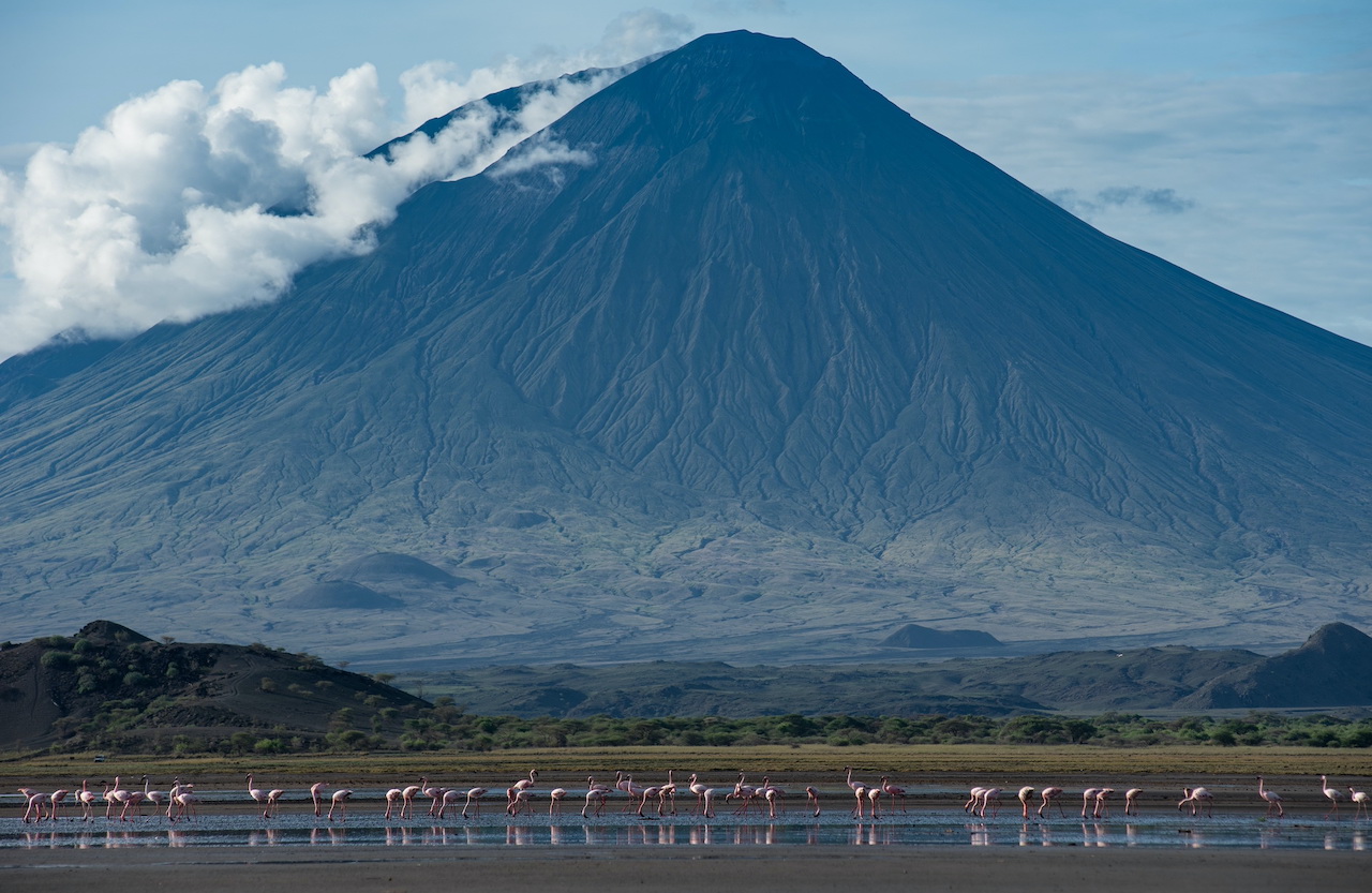 10-day Tanzania safari off the beaten track