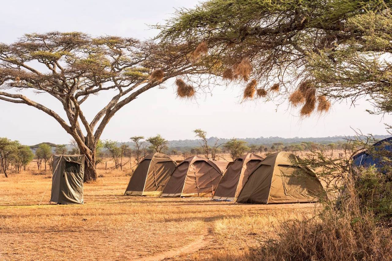 camping safari in tanzania