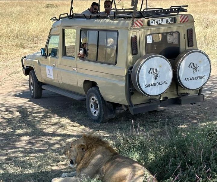 Serengeti safari and Zanzibar beach