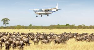 3-day flying safari packages from Zanzibar